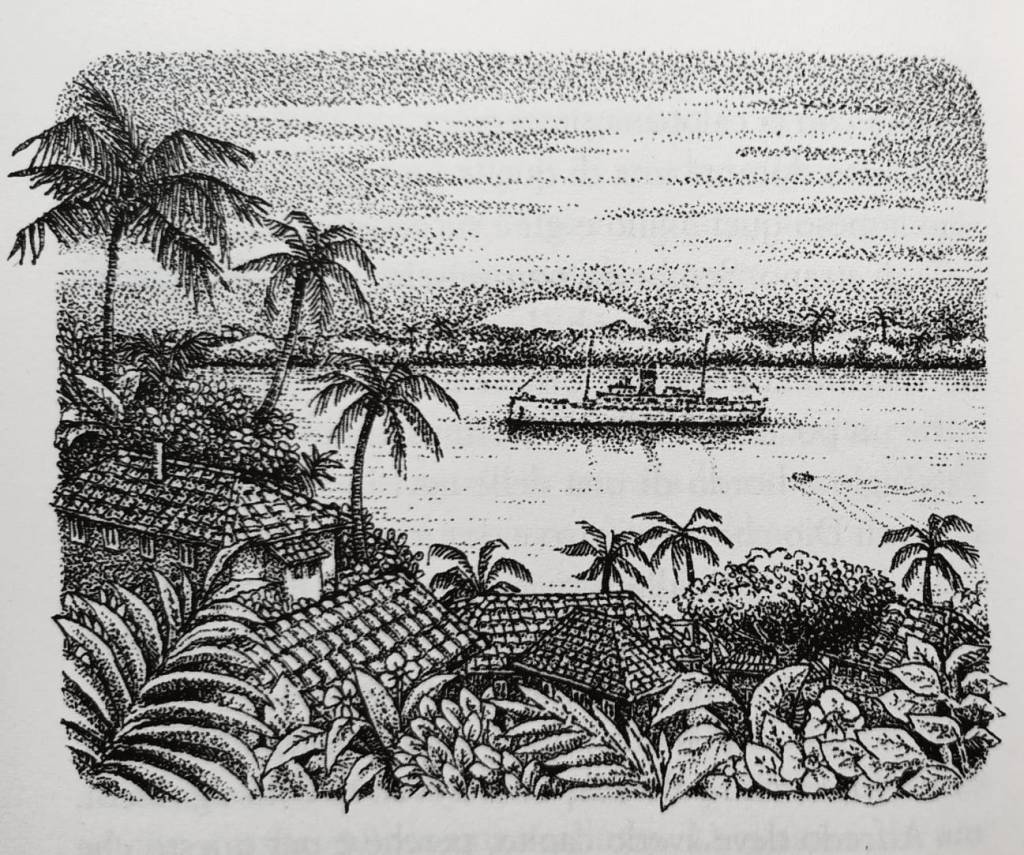 Immagine tratta da "La scimmia dell'assassino", rappresenta un paesaggio con palme, il mare e una nave da crociera al largo